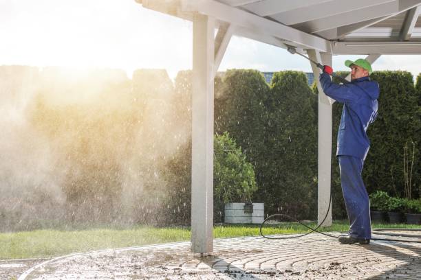 Best Sidewalk and Walkway Cleaning  in Poncha Springs, CO